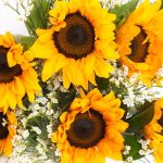 Honey Bunch Sunflower Bouquet - Image 3
