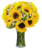 Honey Bunch Sunflower Bouquet