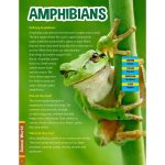 ANIMAL WORLD - CHILDREN'S ENCYCLOPAEDIA - Image 4