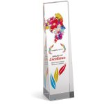 Altitude Hubris Award - Image 2