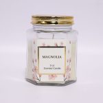 5 oz Hexagonal Clear Glass Scented Candle – Available in Multiple Fragrances