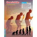 HUMAN BODY CHILDREN'S ENCYCLOPEDIA - Image 2