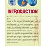 HUMAN BODY CHILDREN'S ENCYCLOPEDIA - Image 3
