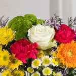 Spring Brights - Image 3