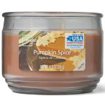 Pumpkin Spice 3 Wick Jar Candle - (326g)