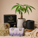 Bloom & Breathe Wellness Hamper